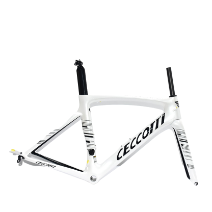 DC009 CECCOTTI V BRAKE CARBON BICYCLE FRAMEST SUPPER LIGHT 