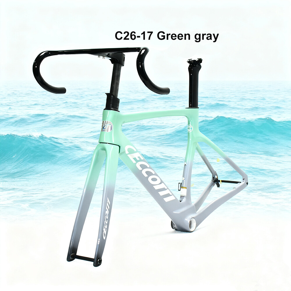 DC026 CECCOTTI DISC 142 CARBON ROAD FRAMEST FULL INNER CABLE 