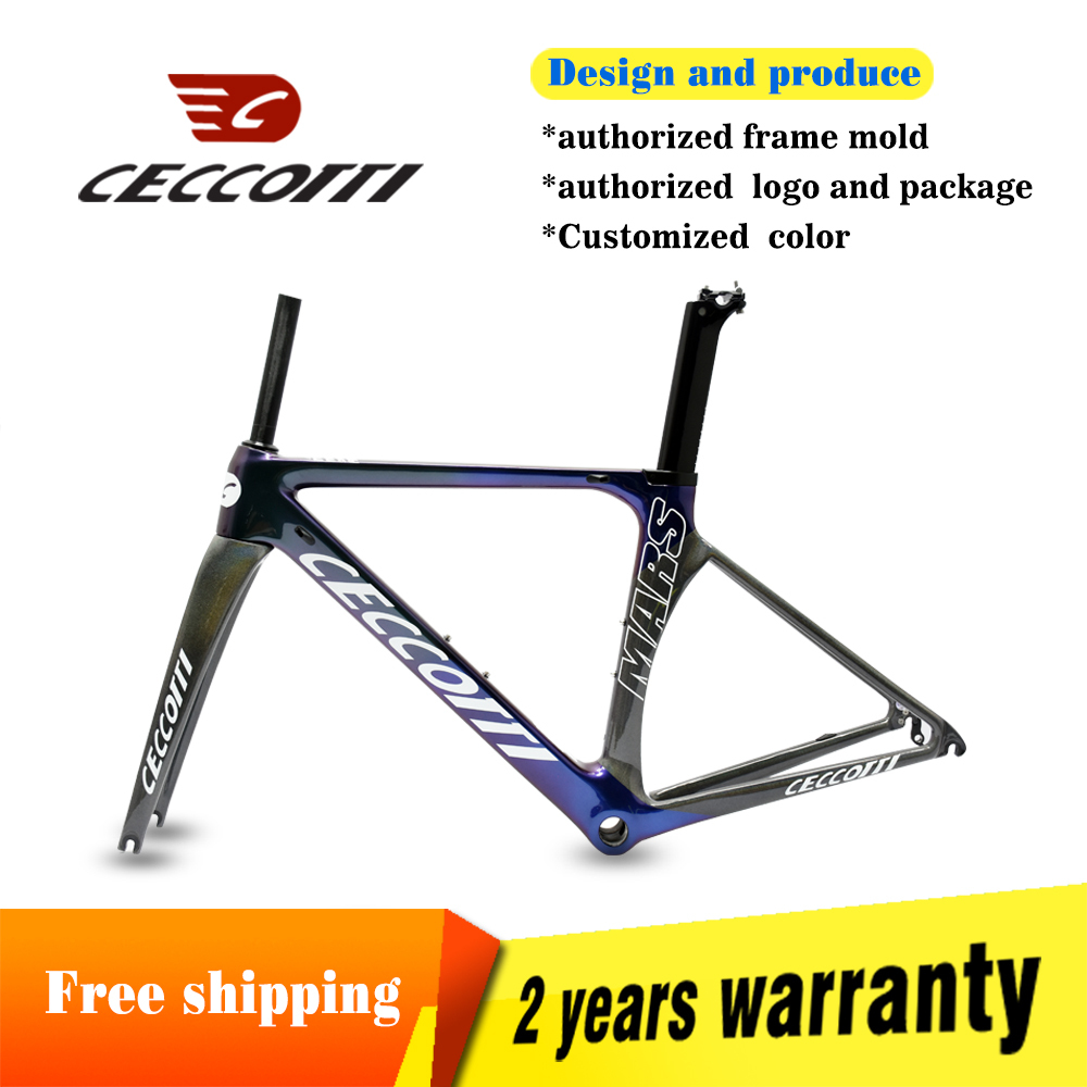 DC006 CECCOTTI V BRAKE CARBON BICYCLE FRAMEST SUPPER LIGHT 