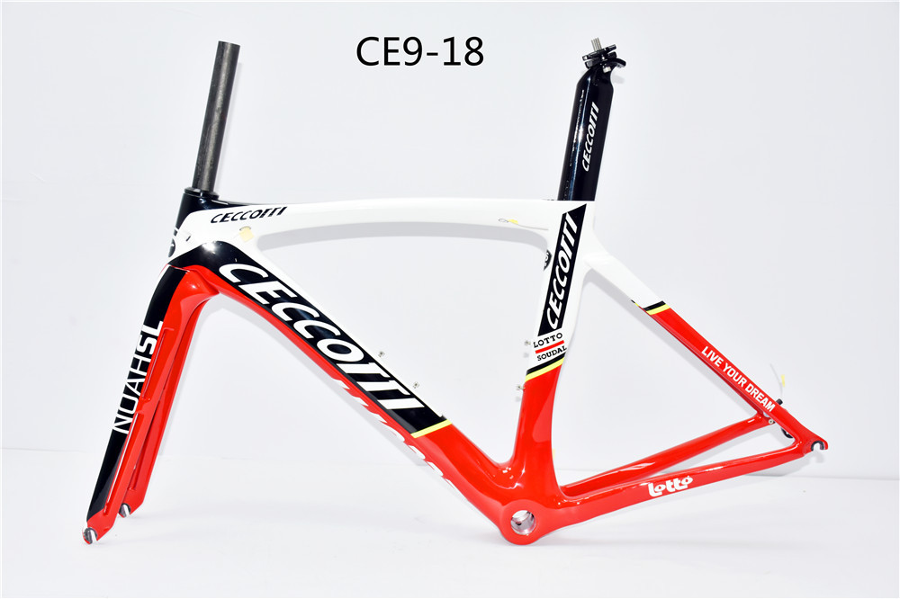 DC009 CECCOTTI V BRAKE CARBON BICYCLE FRAMEST SUPPER LIGHT 