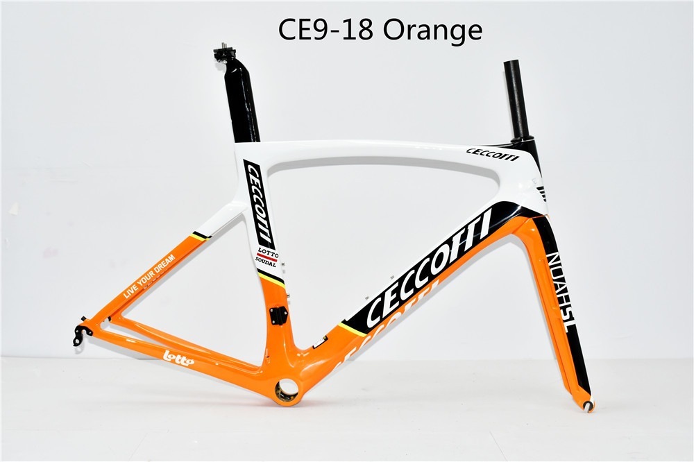 DC009 CECCOTTI V BRAKE CARBON BICYCLE FRAMEST SUPPER LIGHT 