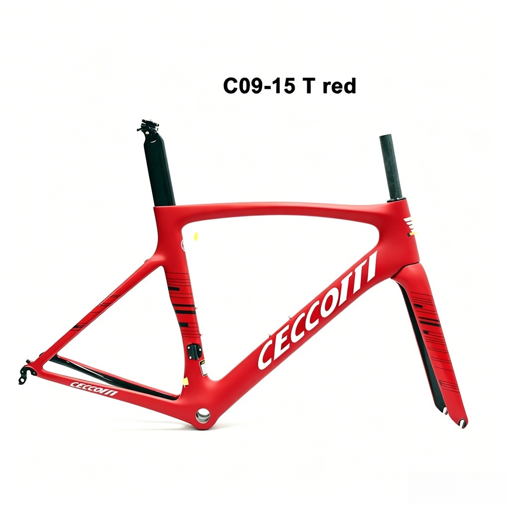 DC009 CECCOTTI V BRAKE CARBON BICYCLE FRAMESET SUPPER LIGHT Rim brake