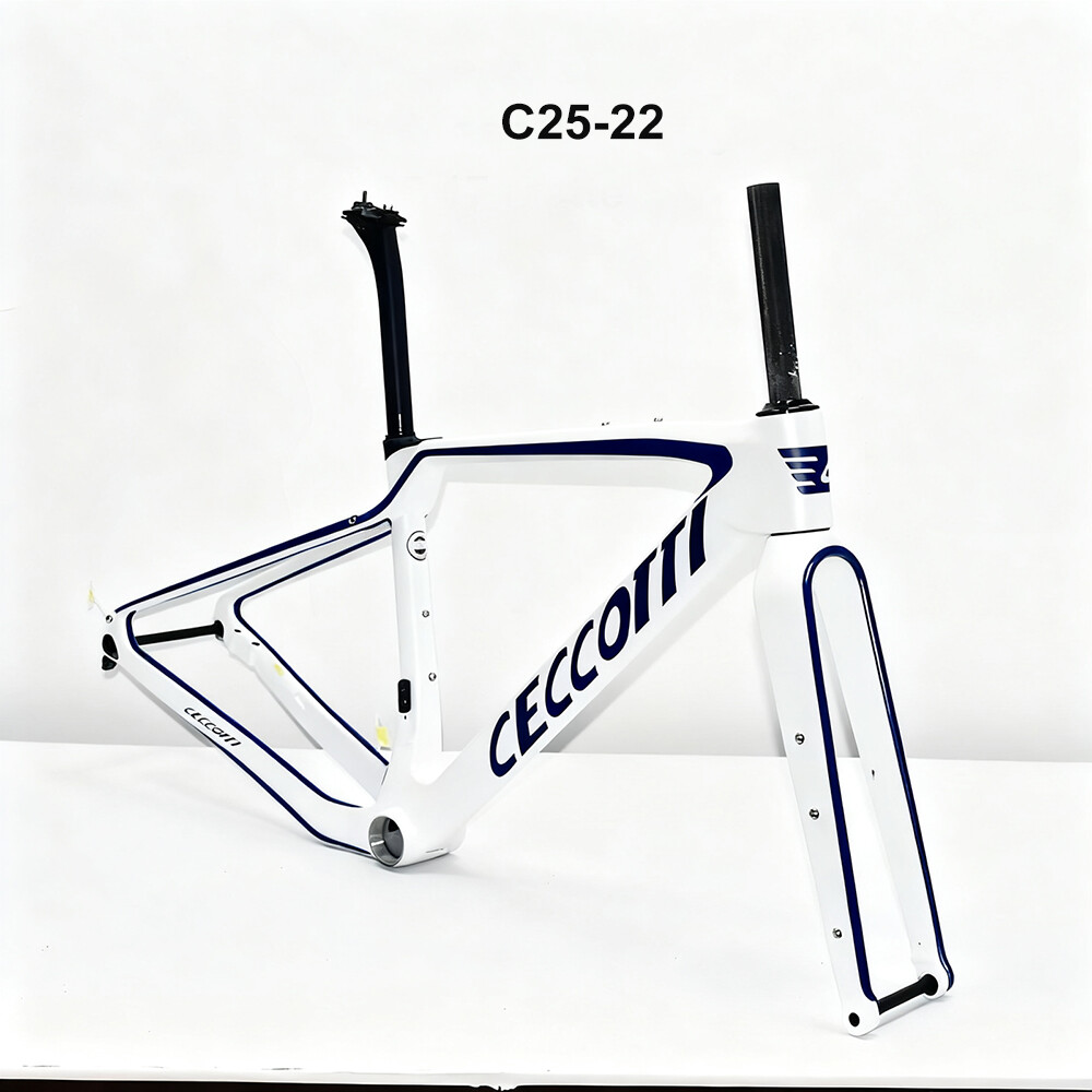 CECCOTTI DC025 GRAVEL TORAY CARBON BICYCLE FRAMEST DISC 142*12 47mm Tire