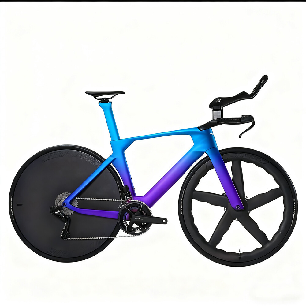 TT01 CECCOTTI TIME TRAIL CARBON BICYCLE FRAMEST142*12 ,T47 Thread BB