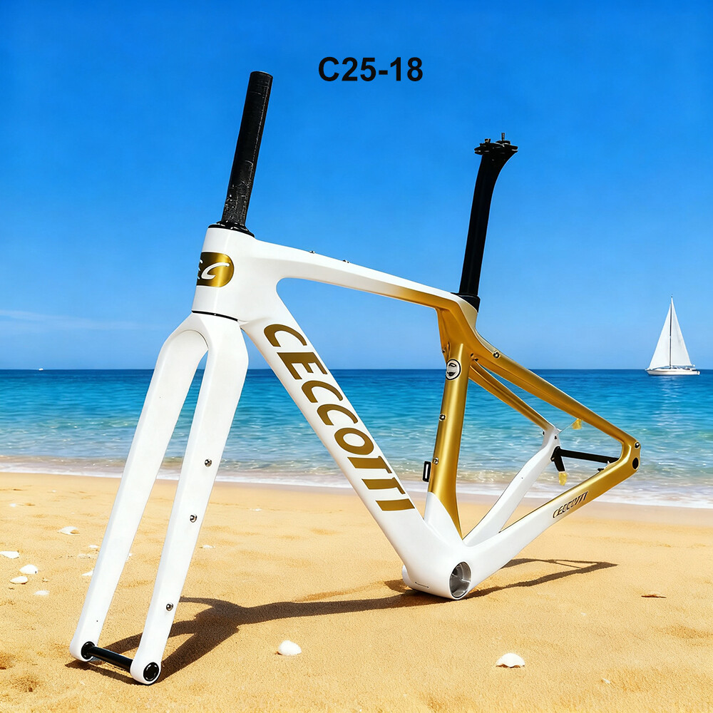 CECCOTTI DC025 GRAVEL TORAY CARBON BICYCLE FRAMEST DISC 142*12 47mm Tire