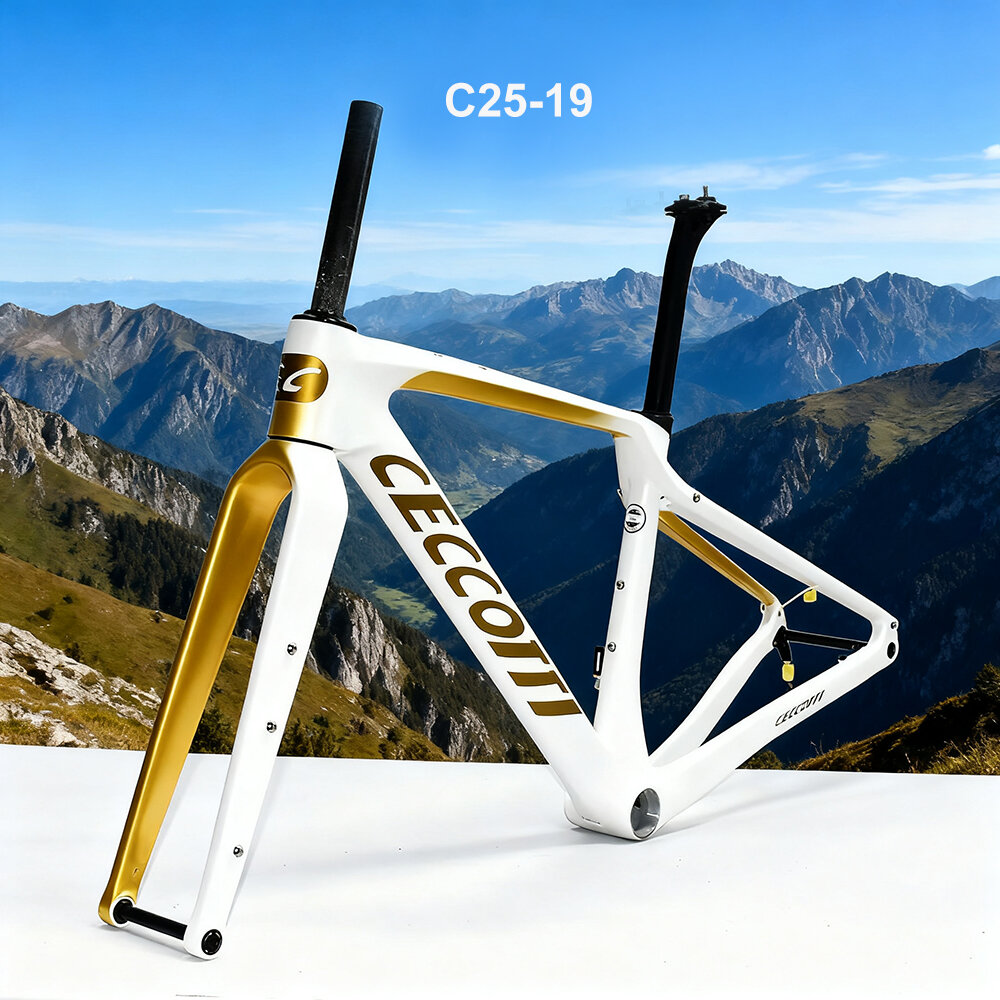 CECCOTTI DC025 GRAVEL TORAY CARBON BICYCLE FRAMEST DISC 142*12 47mm Tire