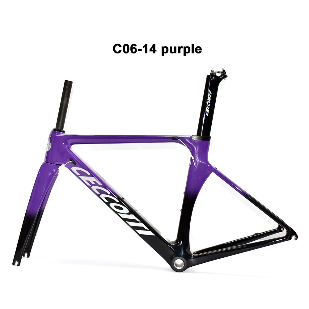 DC006 CECCOTTI V BRAKE CARBON BICYCLE FRAMEST SUPPER LIGHT 