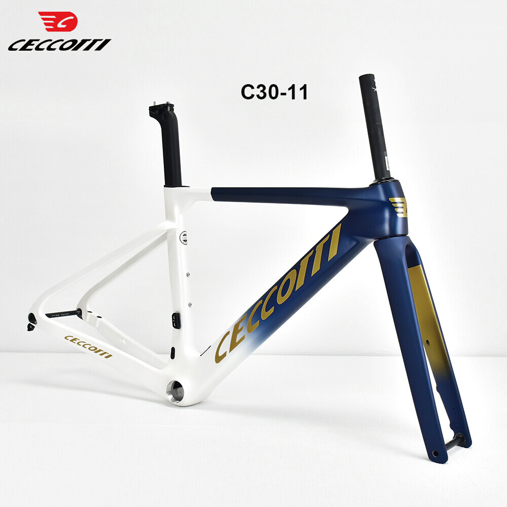 DC030-Ceccotti Carbon Bicycle