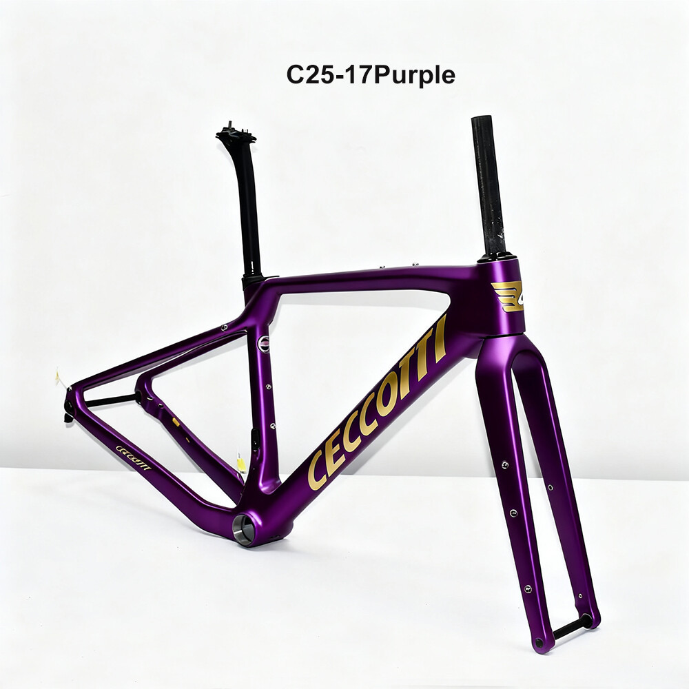 CECCOTTI DC025 GRAVEL TORAY CARBON BICYCLE FRAMEST DISC 142*12 47mm Tire