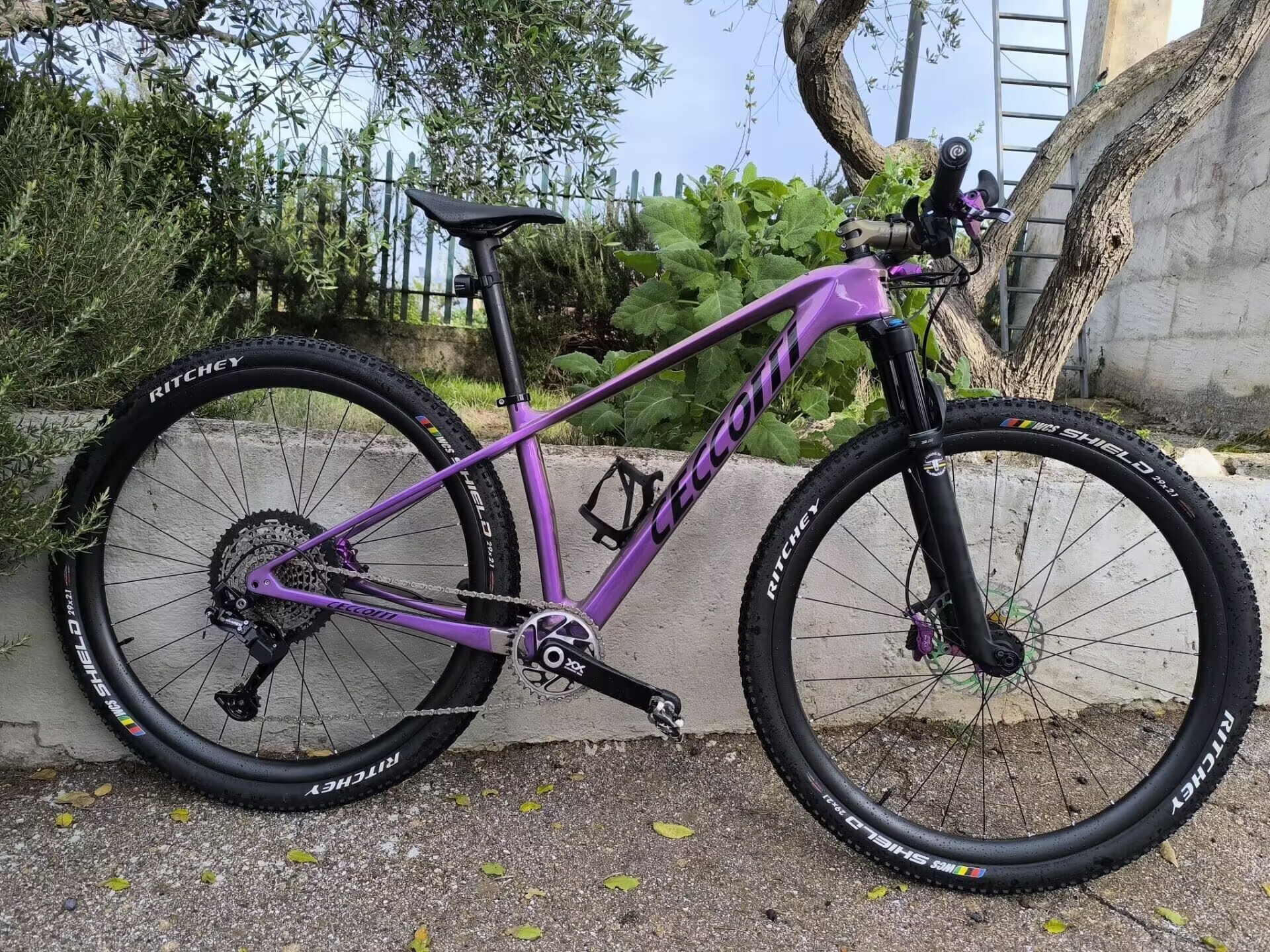 M08 CECCOTTI 148*12 CARBON MOUTAIN BICYCLE FRAMEST