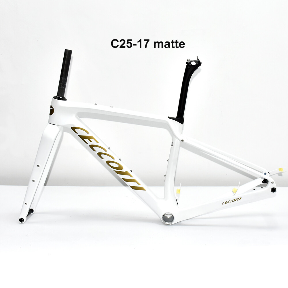 CECCOTTI DC025 GRAVEL TORAY CARBON BICYCLE FRAMEST DISC 142*12 47mm Tire