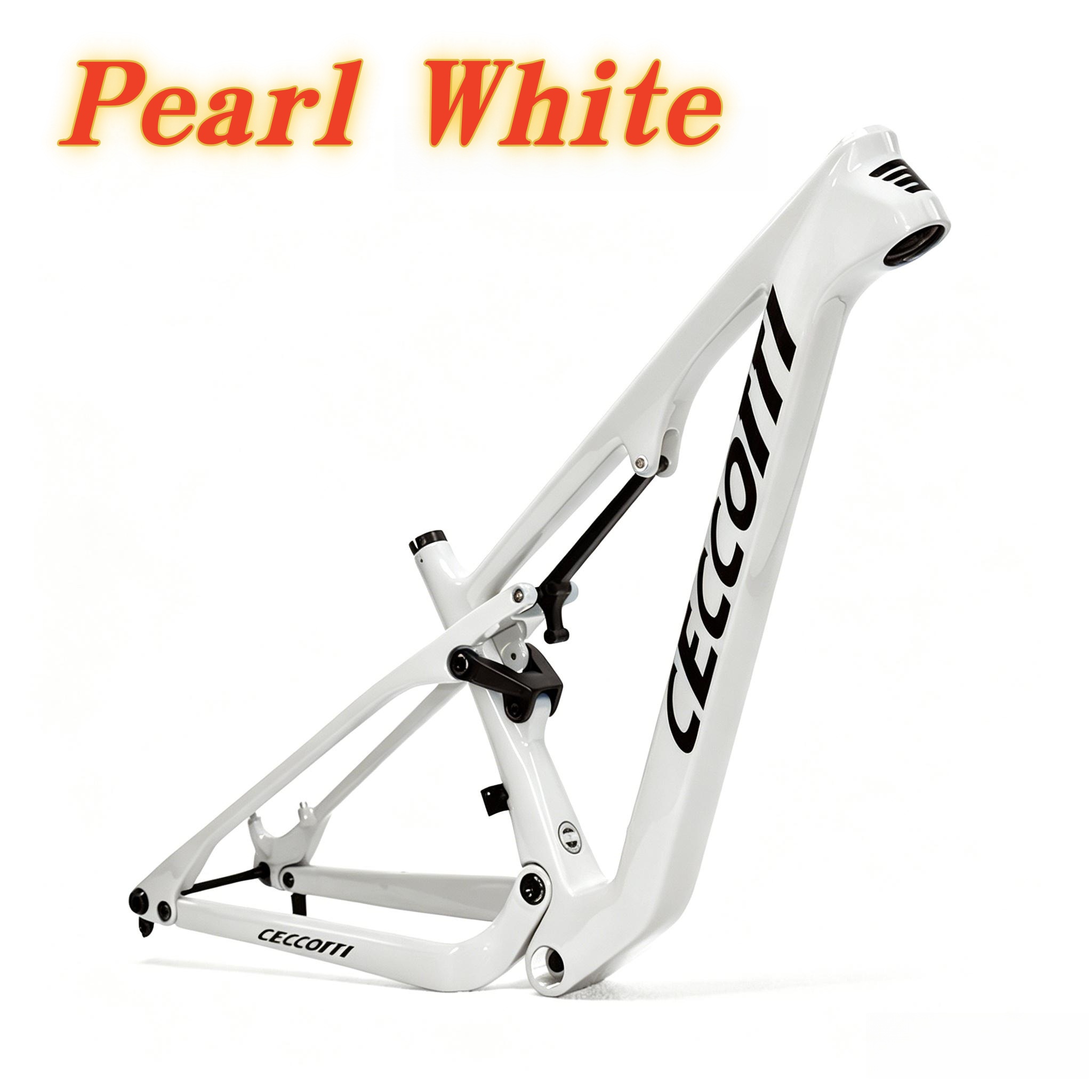 MFS03 CECCOTTI Suspension CARBON MOUTAIN BICYCLE 148*12 -XC 190mm