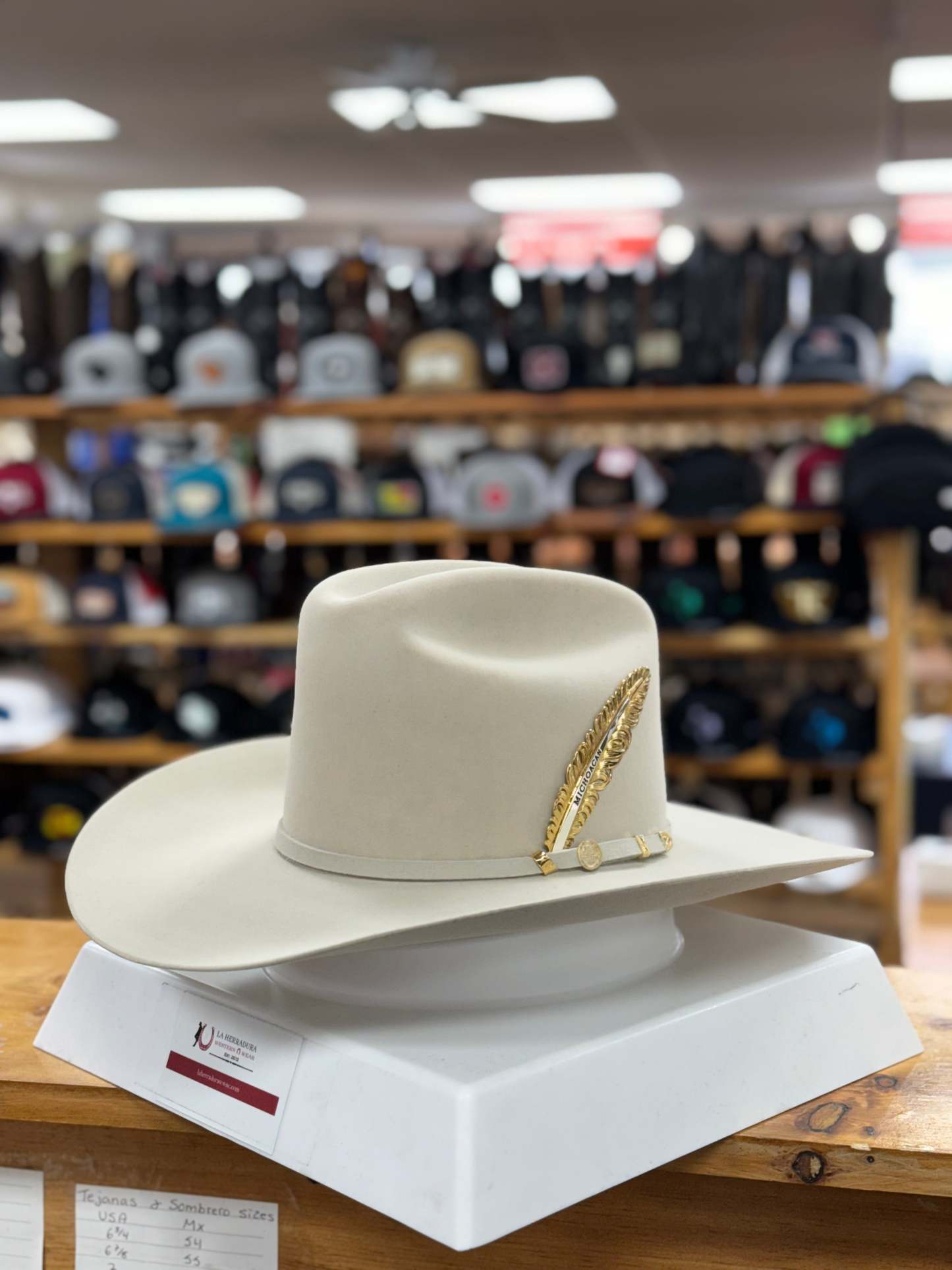 Cowboyhoed 100x President Silver Belly Copa Alta