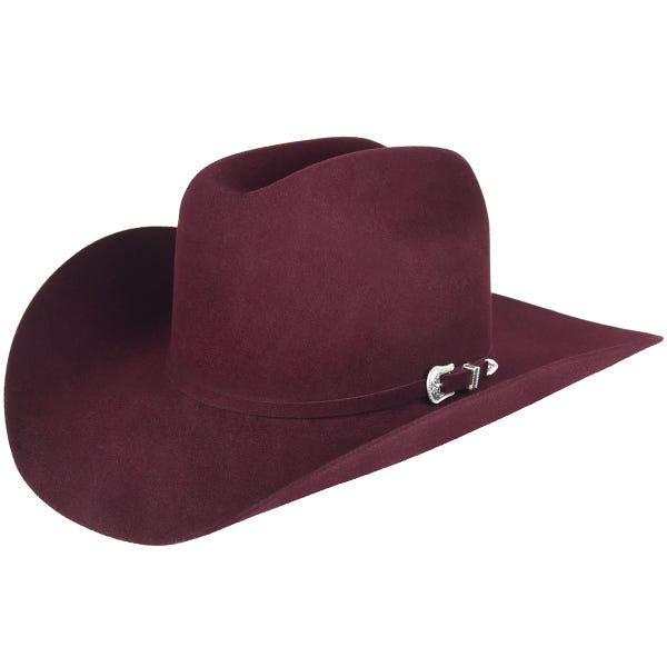 Chapeau de cowboy 20x Lightning