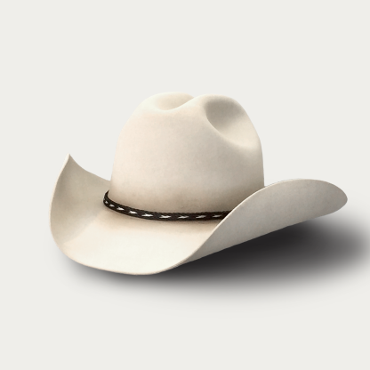 Chapeau de cowboy YellowStone 01 100X