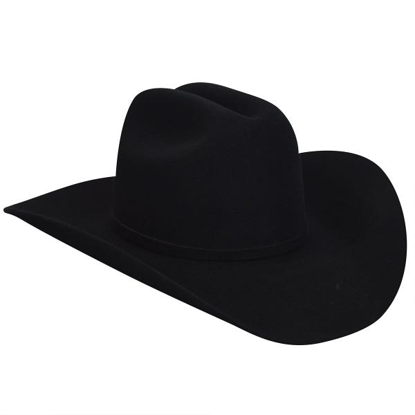Chapeau de cowboy 20x Lightning