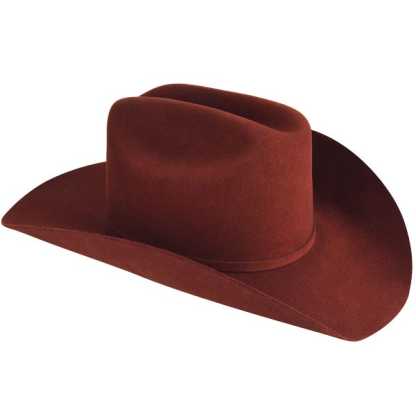 Chapeau de cowboy 20x Lightning
