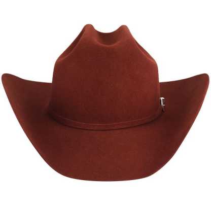 Chapeau de cowboy 20x Lightning