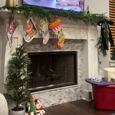 🌲Real Touch Deluxe Norfolk Pine Girland🌿