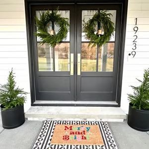 🌲Real Touch Deluxe Norfolk Pine Girland🌿