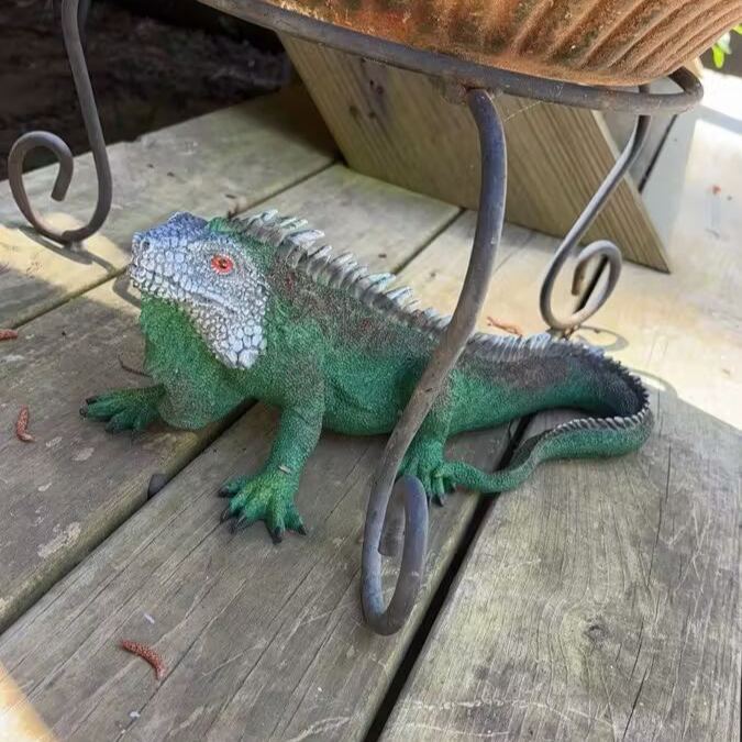 🦎Realistische Leguan-Statue