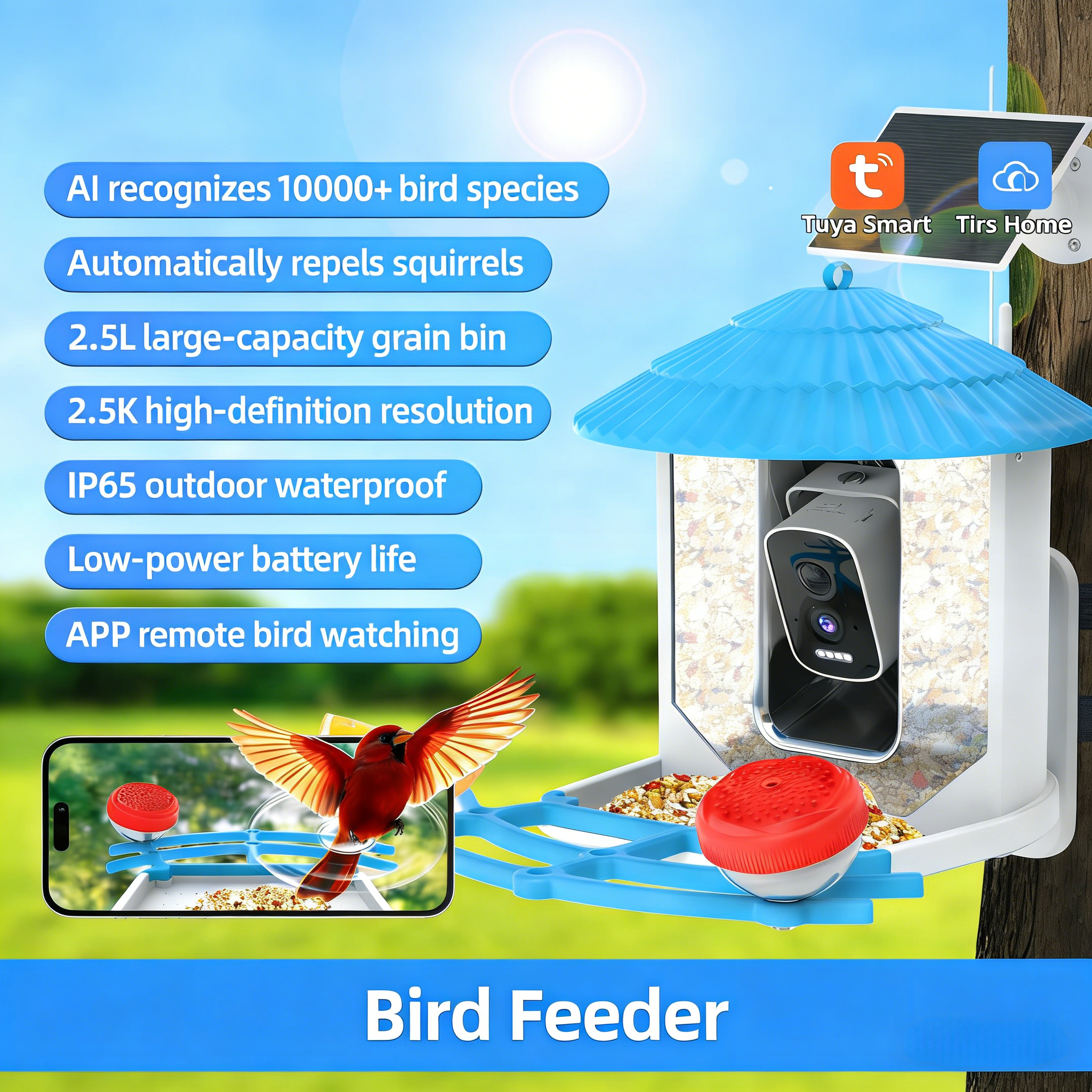 🔥LAST DAY 50% OFF👀🐦Bird Feeder with Camera and Solar Panel🧓💖