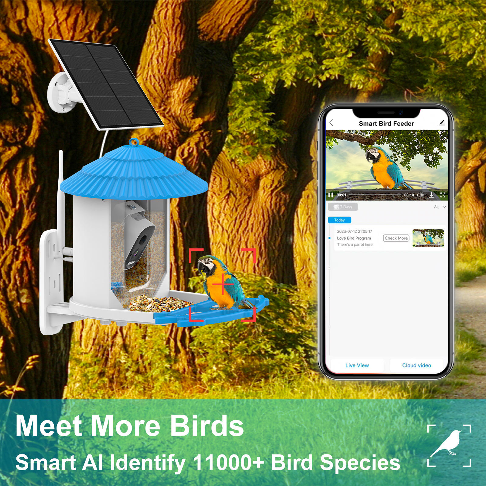 🔥LAST DAY 50% OFF👀🐦Bird Feeder with Camera and Solar Panel🧓💖