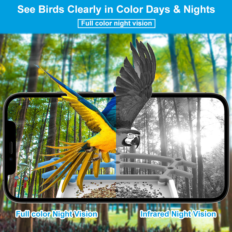 🔥LAST DAY 50% OFF👀🐦Bird Feeder with Camera and Solar Panel🧓💖