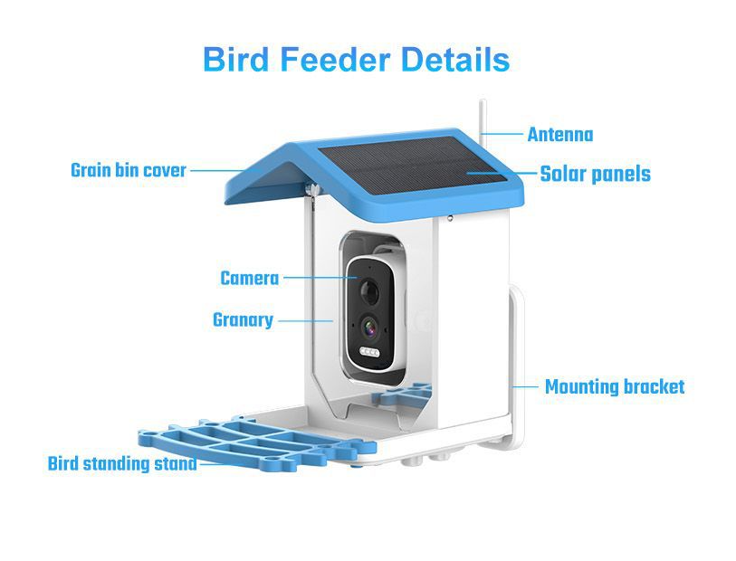 🔥LAST DAY 50% OFF🐦👀Bird Feeder with Camera and Solar Panel🧓💖