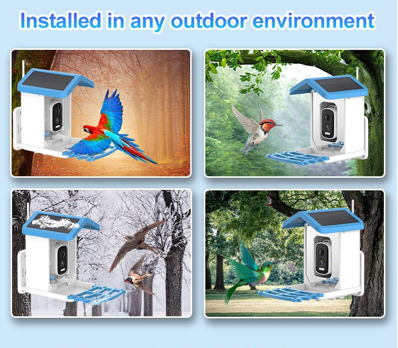 🔥LAST DAY 50% OFF🐦👀Bird Feeder with Camera and Solar Panel🧓💖