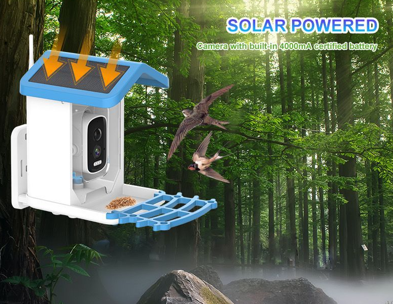 🔥LAST DAY 50% OFF🐦👀Bird Feeder with Camera and Solar Panel🧓💖