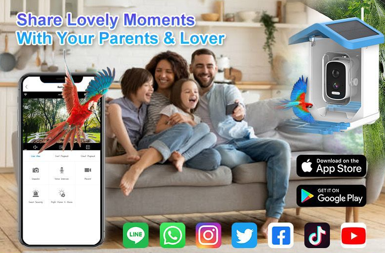 🔥LAST DAY 50% OFF🐦👀Bird Feeder with Camera and Solar Panel🧓💖