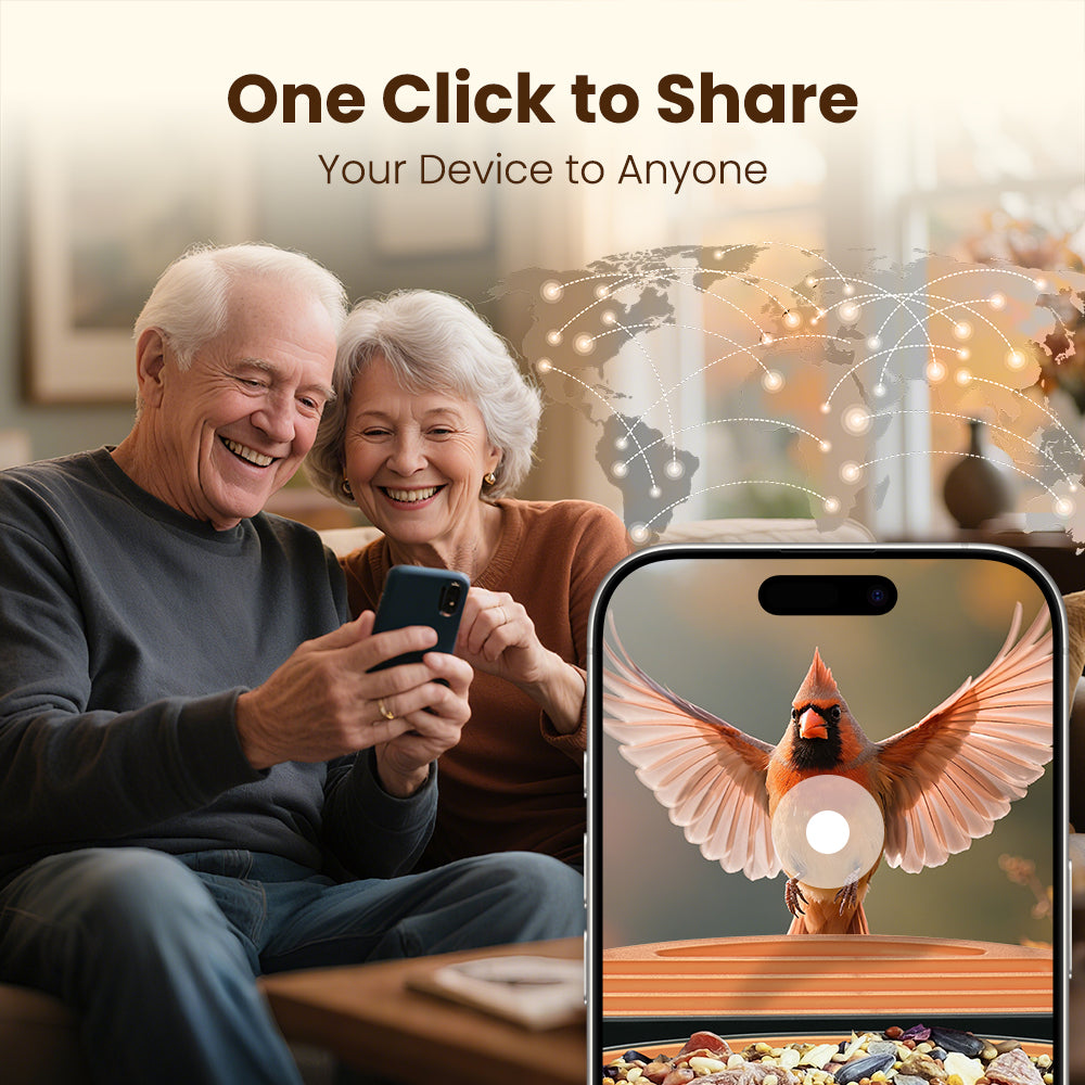 🔥LAST DAY 50% OFF👀🐦Bird Feeder with Camera and Solar Panel🧓💖