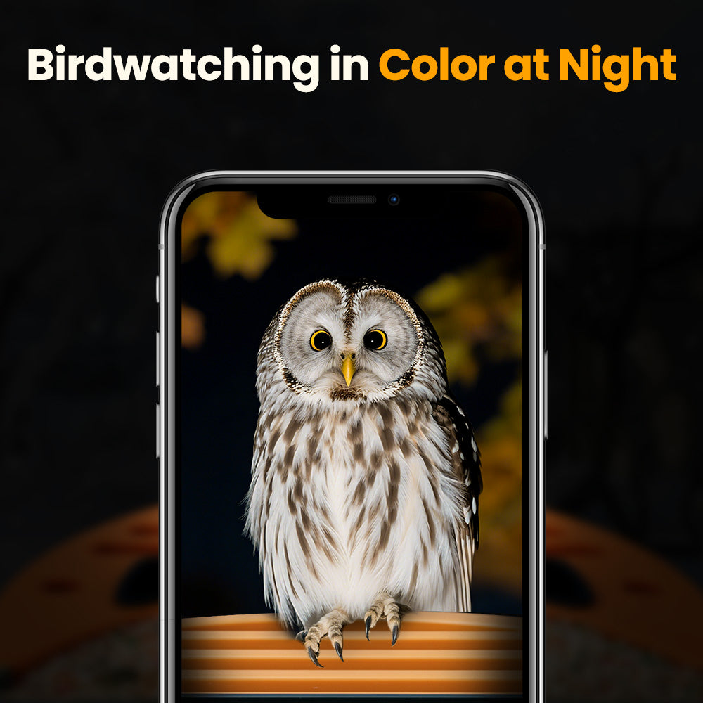 🔥LAST DAY 50% OFF👀🐦Bird Feeder with Camera and Solar Panel🧓💖