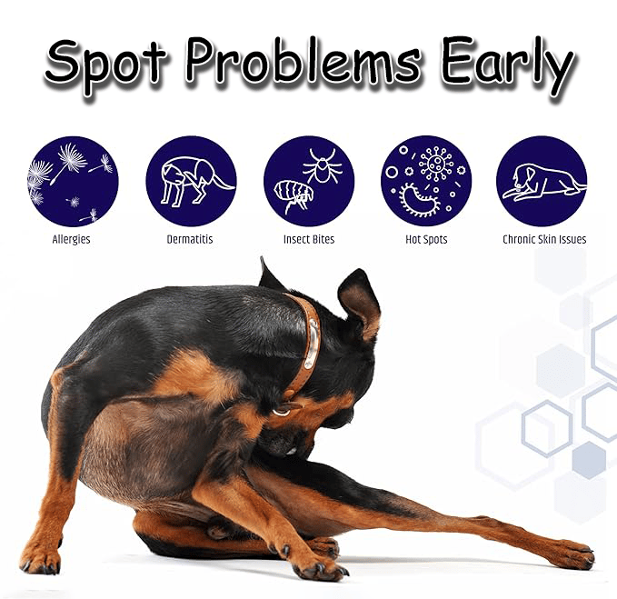 💥 Say Goodbye to Pet Hair! 🔥Pet Comb Grooming Brush✨