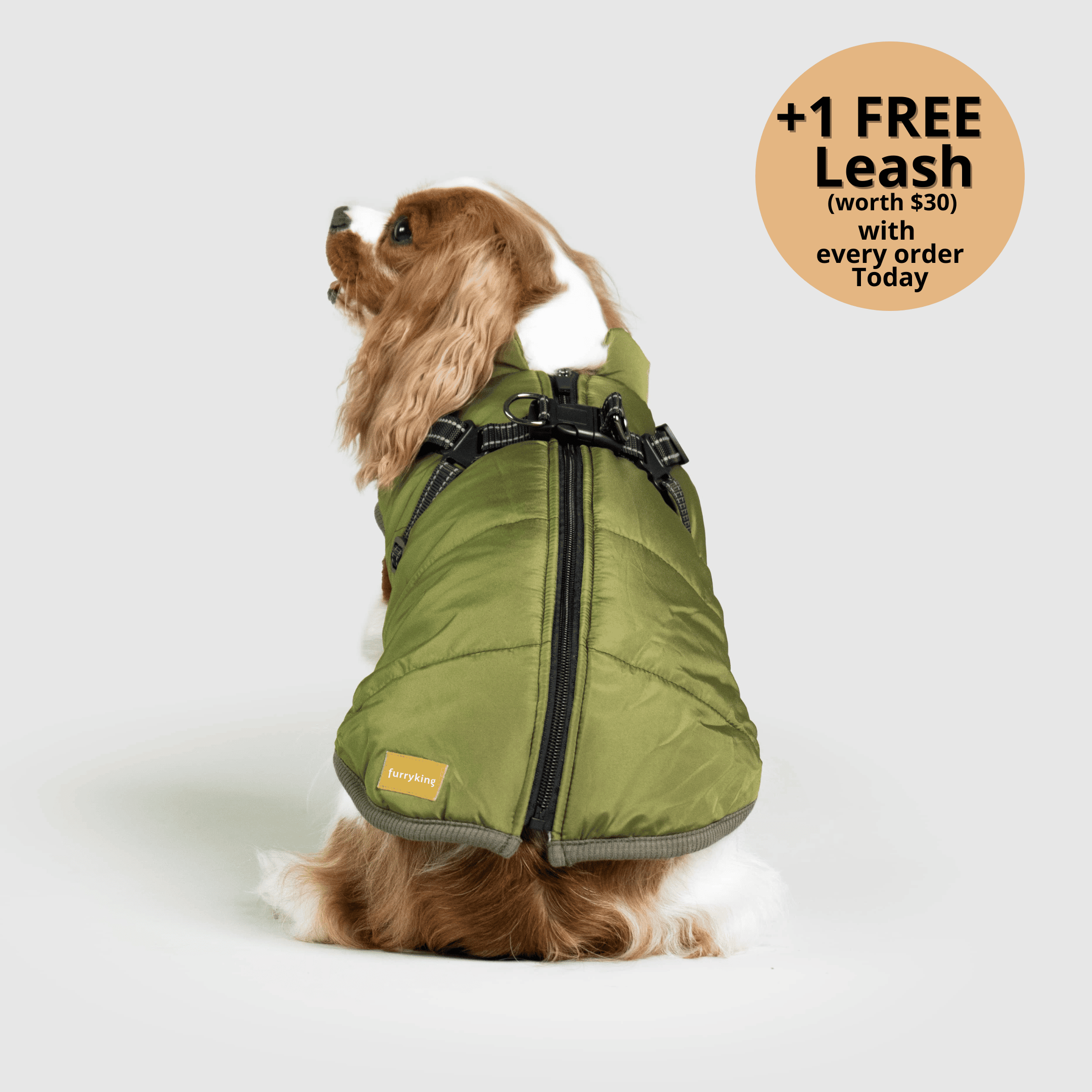 🔥 Waterproof Winter Dog Jacket with Built-in Harness 3 in 1 Winter Jacket🎁 