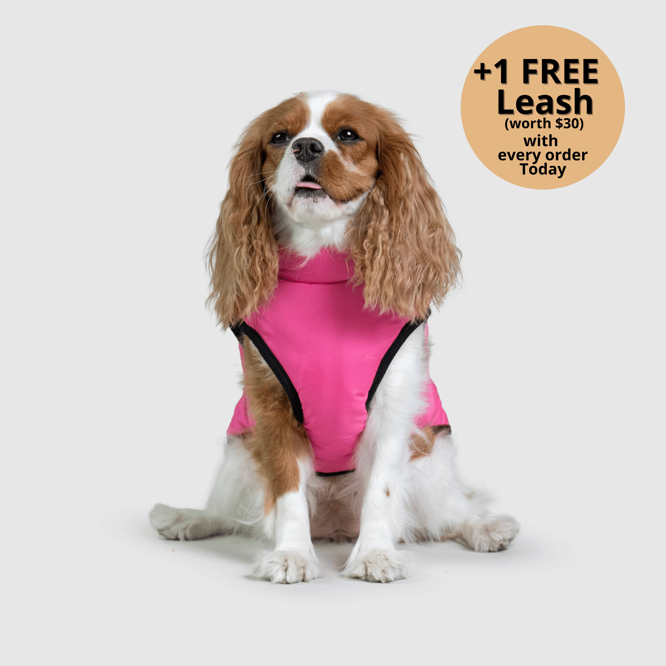 🔥 Waterproof Winter Dog Jacket with Built-in Harness 3 in 1 Winter Jacket🎁 
