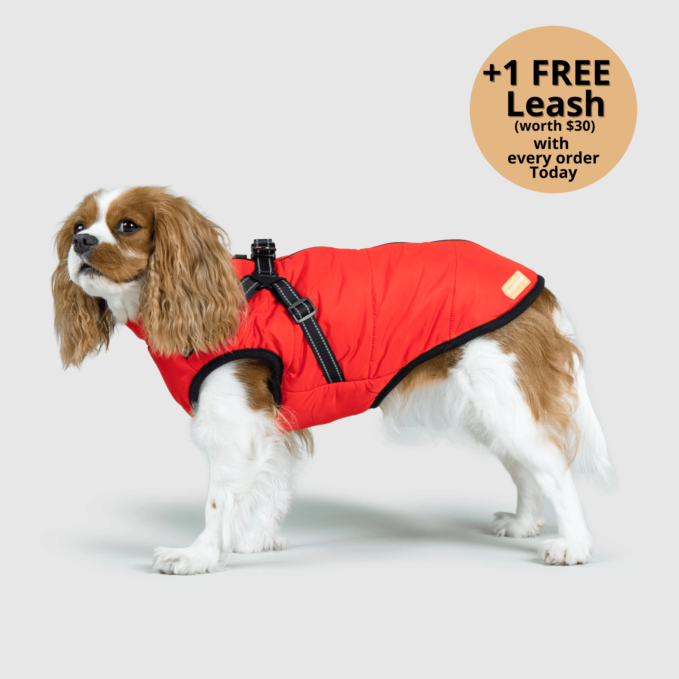 🔥 Waterproof Winter Dog Jacket with Built-in Harness 3 in 1 Winter Jacket🎁 