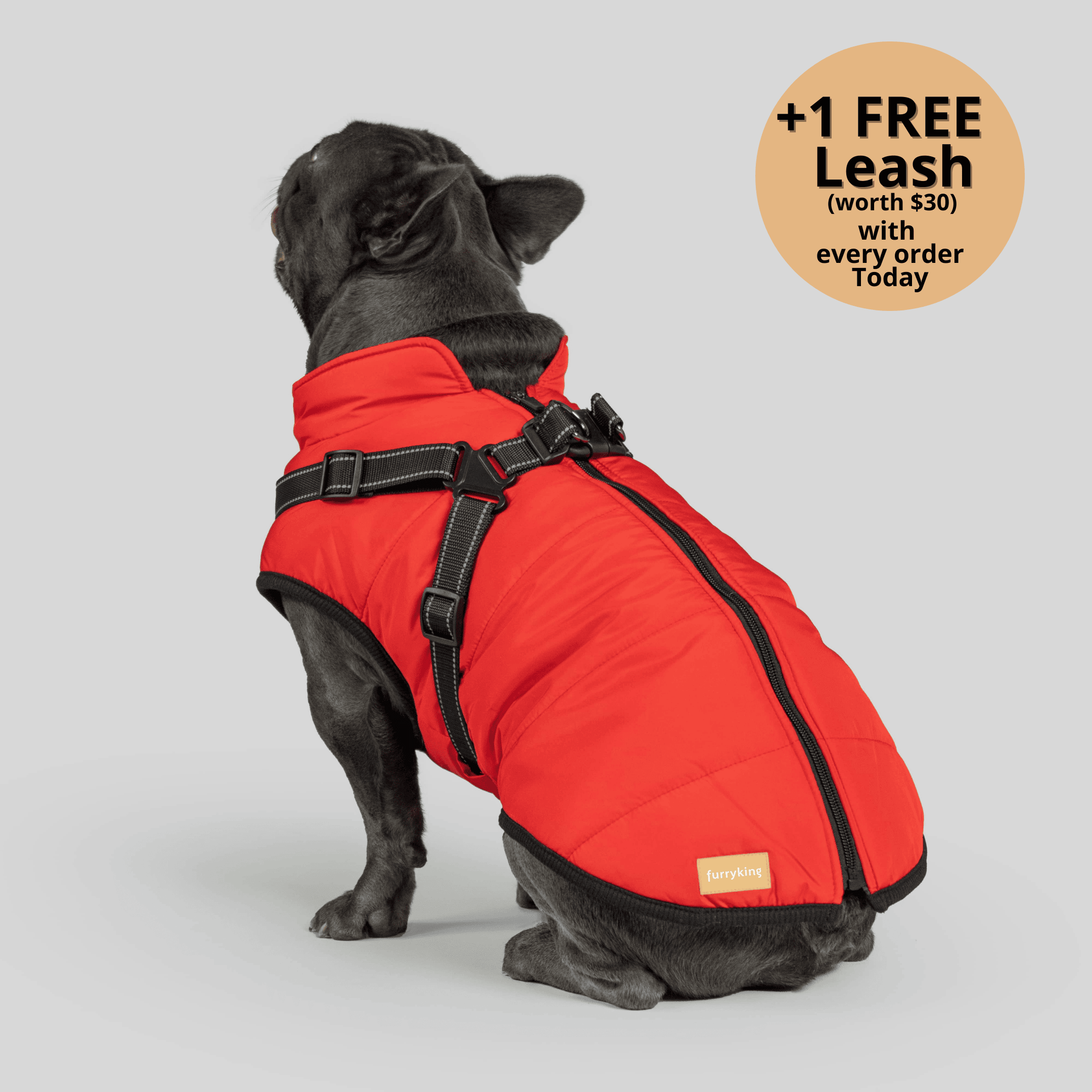 🔥 Waterproof Winter Dog Jacket with Built-in Harness 3 in 1 Winter Jacket🎁 