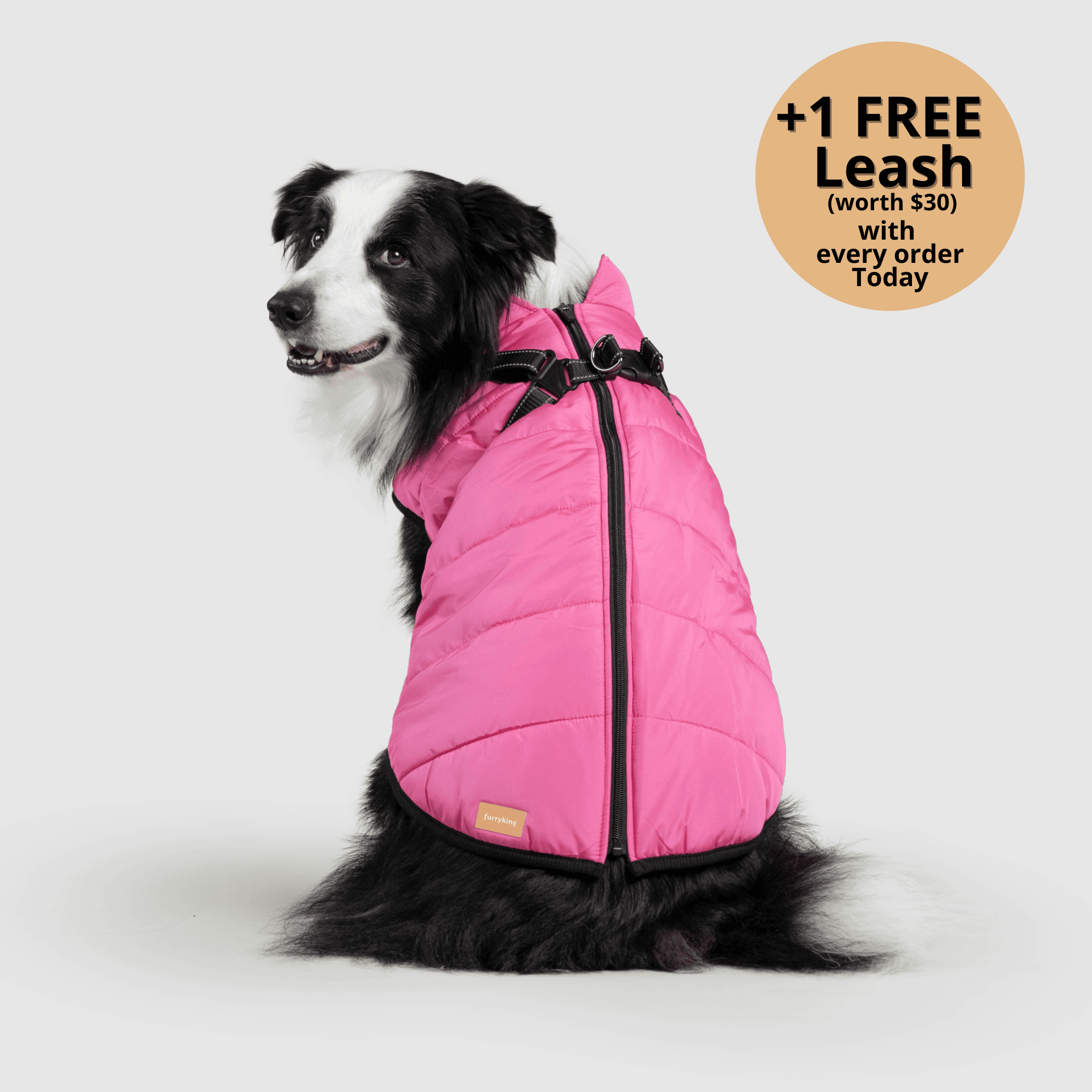 🔥 Waterproof Winter Dog Jacket with Built-in Harness 3 in 1 Winter Jacket🎁 