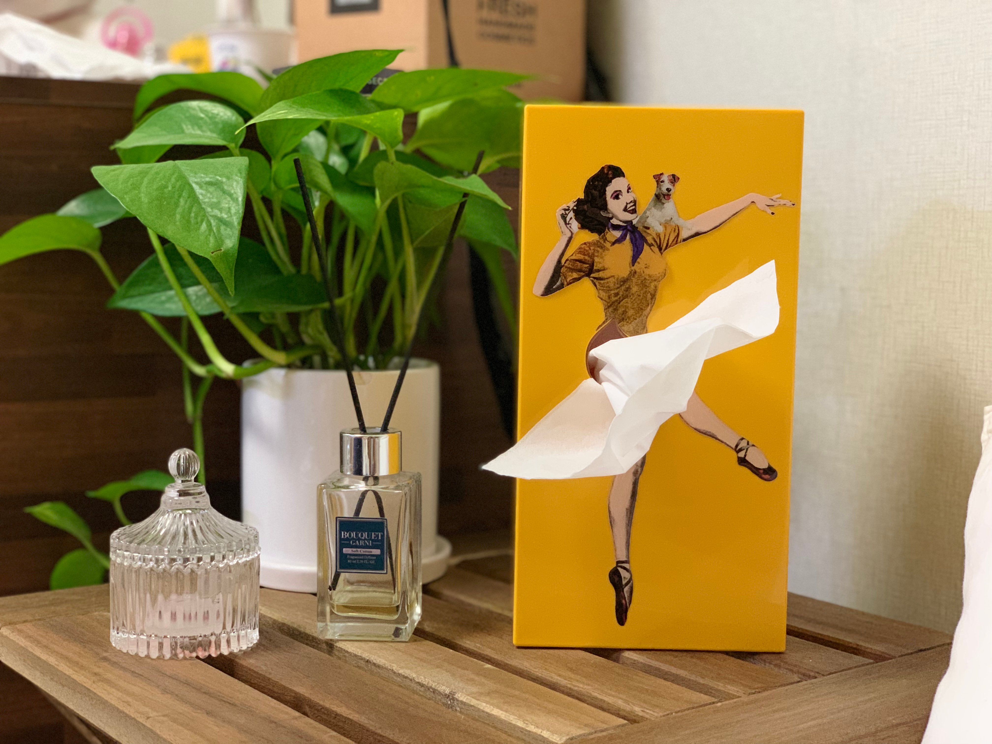 🔥LAST DAY 49% OFF🎁-Cute Flying Skirt Tissue Box ✨