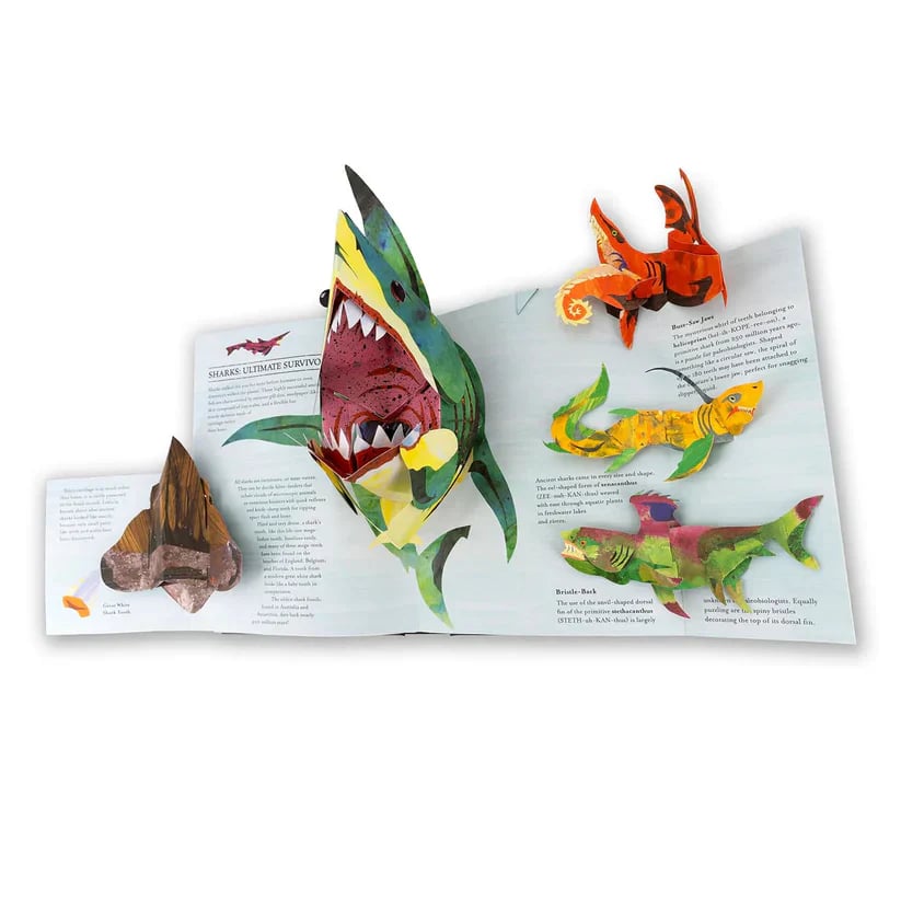 🦖3D Encyclopedia Prehistorica Series🦈Dinosaurs + Sharks & Sea Monsters —Pop-Up Book