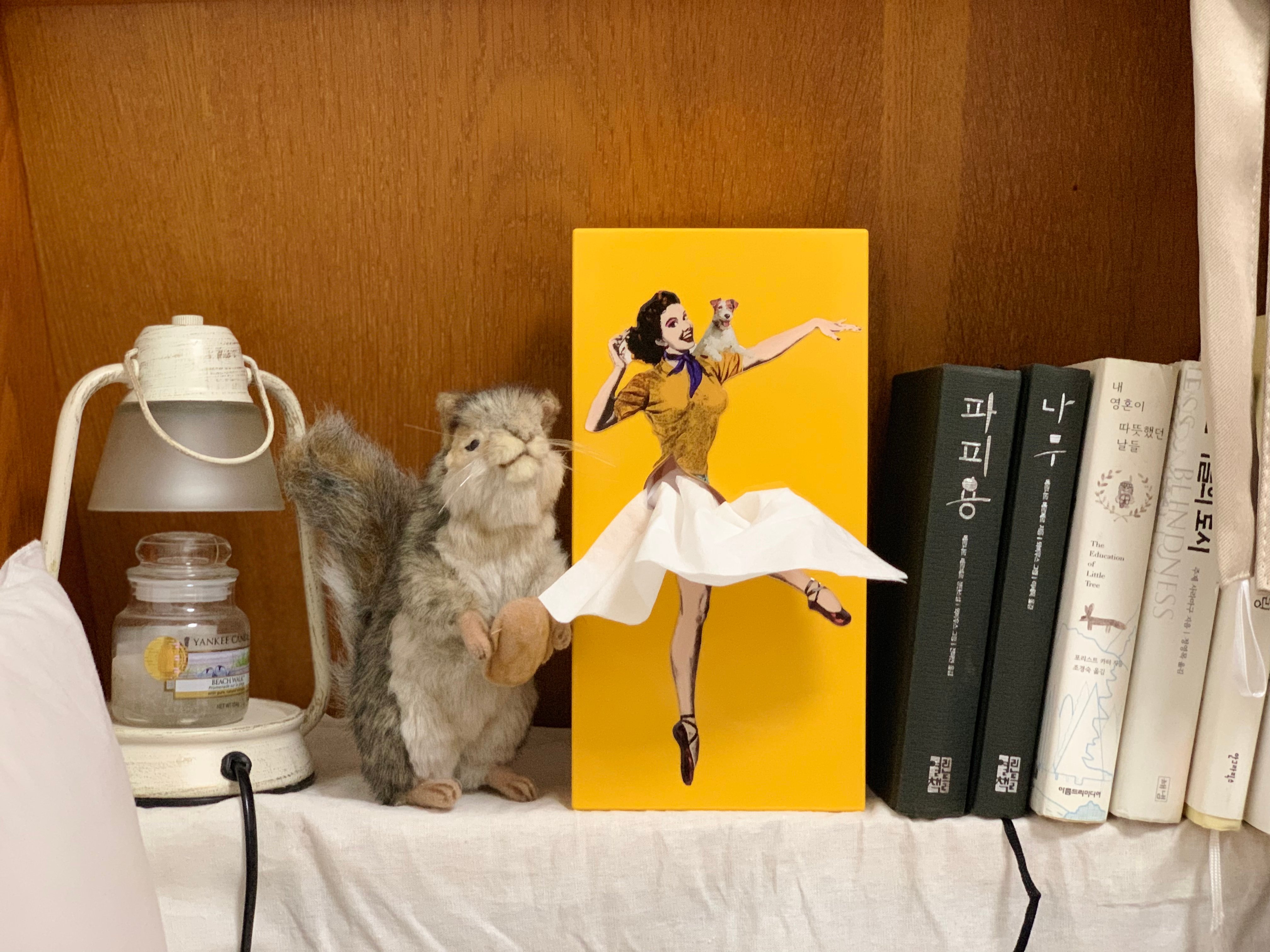 🔥LAST DAY 49% OFF🎁-Cute Flying Skirt Tissue Box ✨