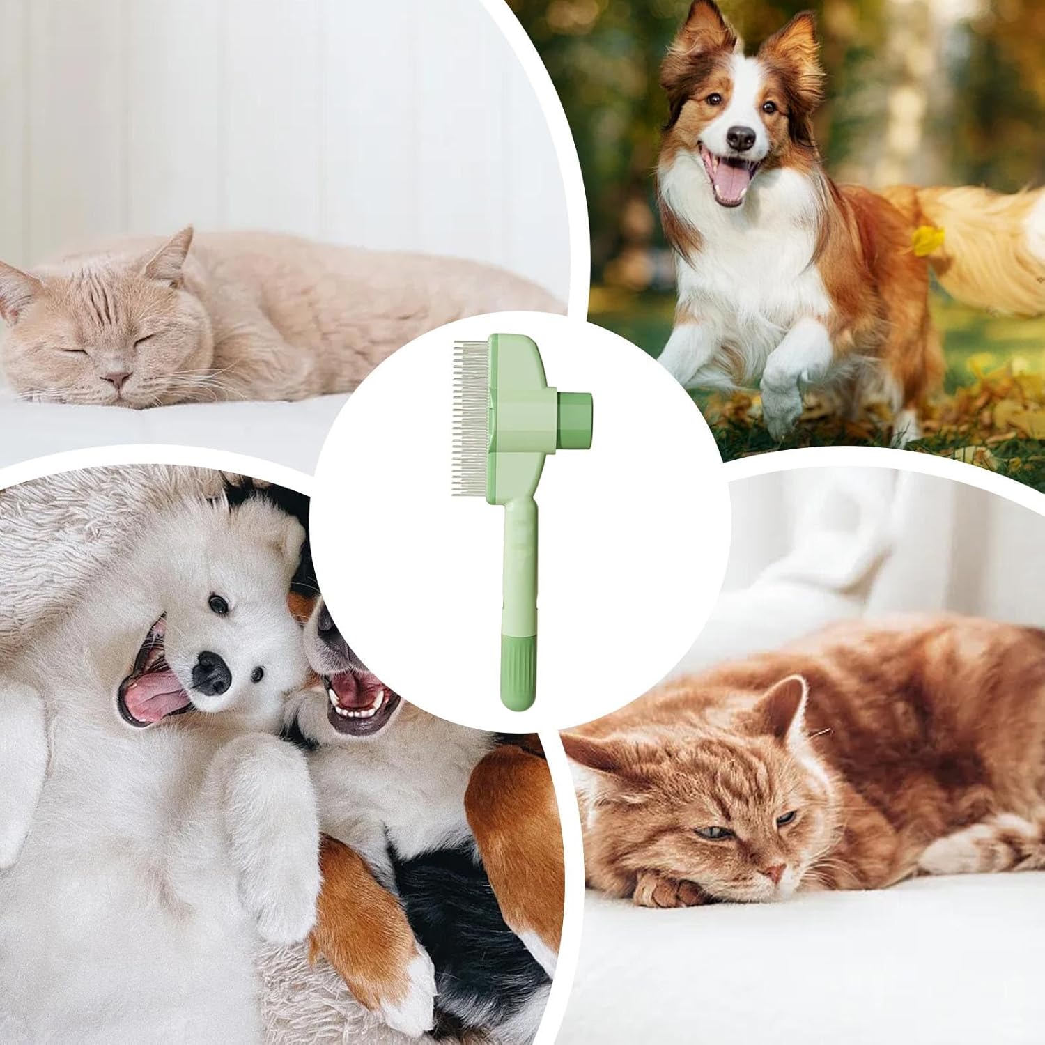 💥 Say Goodbye to Pet Hair! 🔥Pet Comb Grooming Brush✨