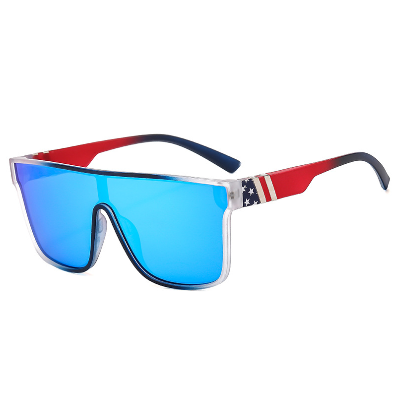 Square Sunglasses #bx-B808