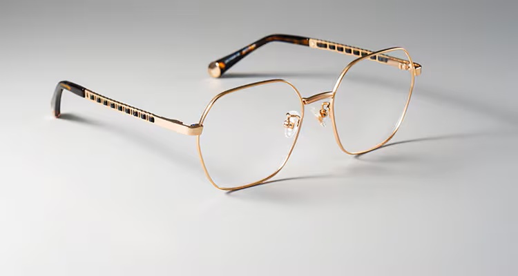 Professional Life Glasses-scoolglasses