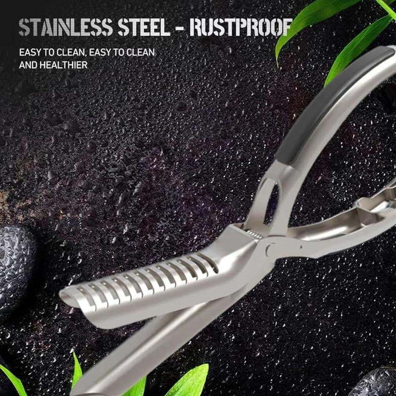 Rib Membrane Remover Stainless Steel Tool Kit