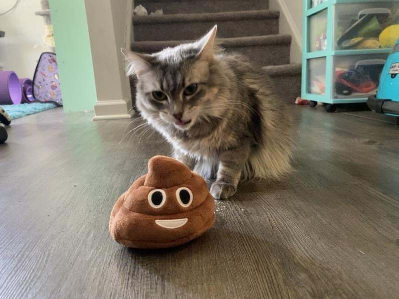 🎁Lowest price ever💥Funny Talking Poop Plush Toy – Makes Fart Sounds!✨(Safe, Non-Toxic & Kid/Pet Friendly)