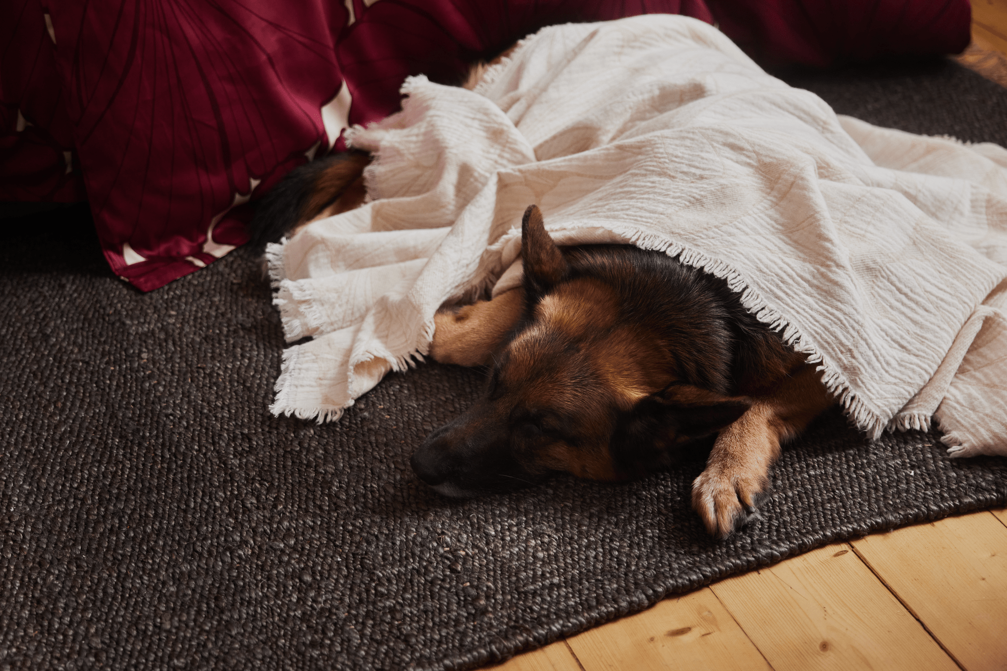 Lilia Torkkupeitto-Finlayson