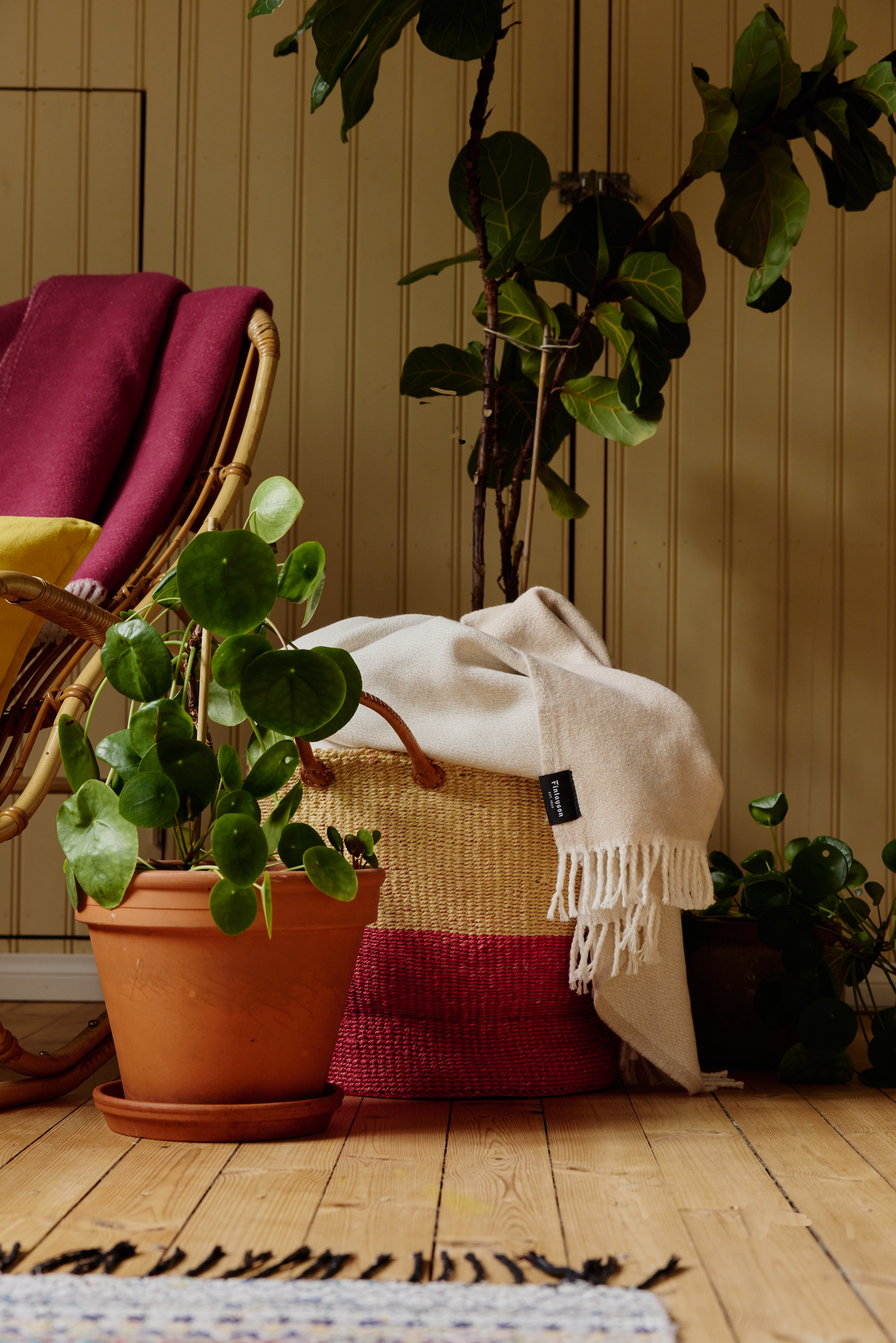 Sulo Torkkupeitto-Finlayson